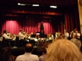 p1050260-50