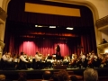 p1050267-50